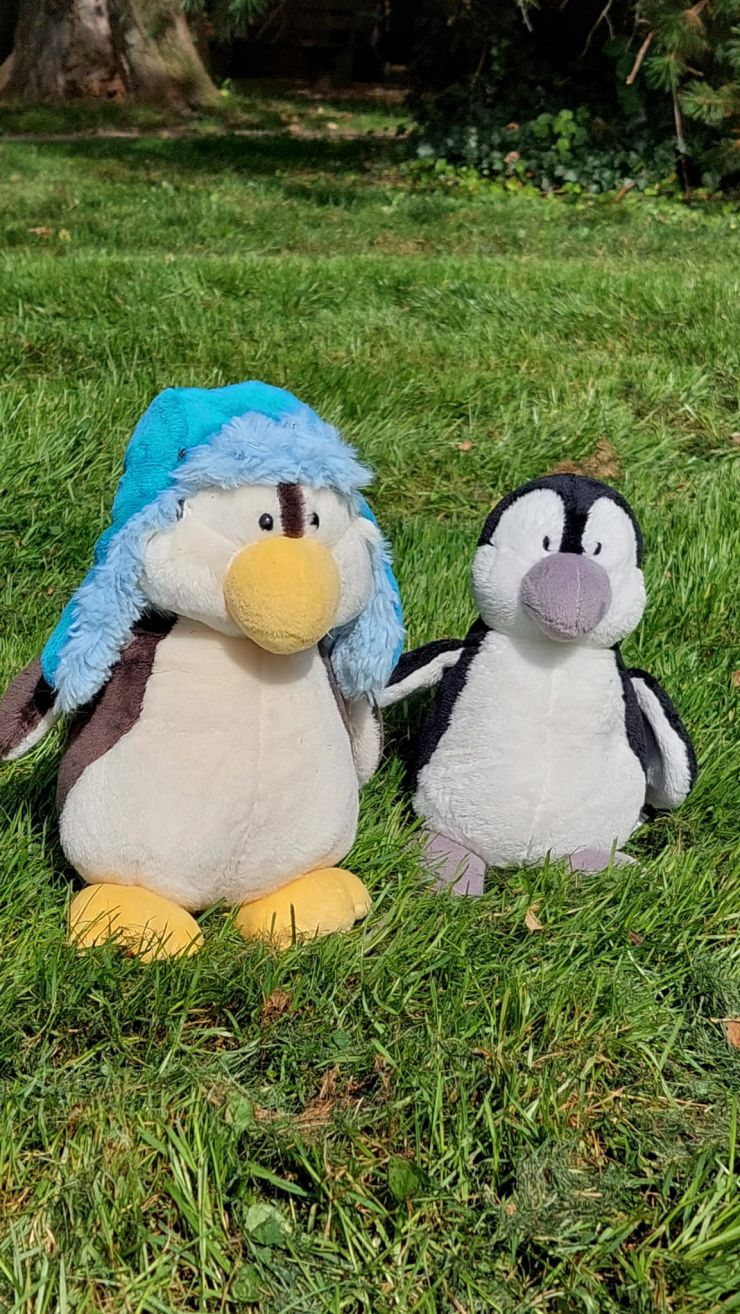 Pinguine.jpeg